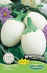 Aubergine white egg gebraucht kaufen  Wird an jeden Ort in Deutschland