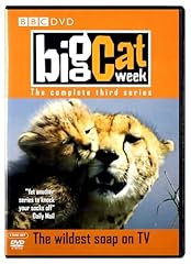 Big cat week for sale  Delivered anywhere in UK