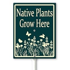 Lucidhisun native plants for sale  Delivered anywhere in USA 