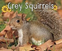 Grey squirrels for sale  Delivered anywhere in UK