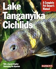 Lake tanganyika cichlids for sale  Delivered anywhere in USA 