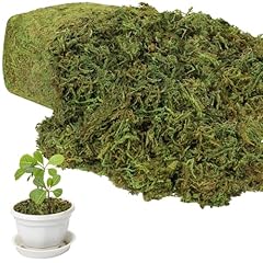 Yunvi 17.6 large for sale  Delivered anywhere in USA 
