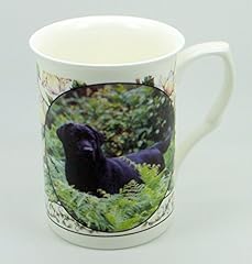 Plate collectors shop for sale  Delivered anywhere in UK