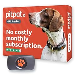 Pitpat dog gps for sale  Delivered anywhere in UK