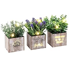 Kinkota artificial plants for sale  Delivered anywhere in USA 