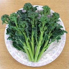 250 grani brocoli usato  Spedito ovunque in Italia 