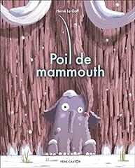 Poil mammouth d'occasion  Livré partout en Belgiqu