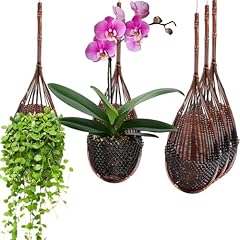 Gogeffor hanging orchid for sale  Delivered anywhere in USA 