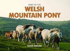 Spirit the welsh usato  Spedito ovunque in Italia 