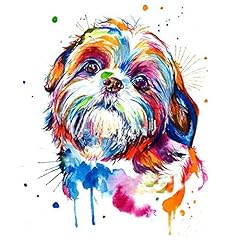 Yscolor shih tzu for sale  Delivered anywhere in Ireland