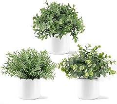 Mkono fake plants for sale  Delivered anywhere in USA 