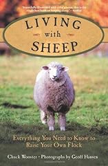Living sheep everything for sale  Delivered anywhere in USA 