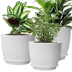 Muaeeok plant pots for sale  Delivered anywhere in UK
