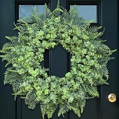 Eucalyptus boston ferns for sale  Delivered anywhere in USA 
