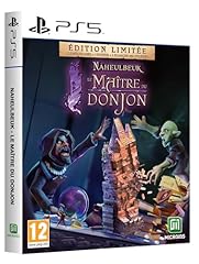 Naheulbeuk maitre donjon d'occasion  Livré partout en Belgiqu