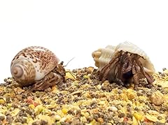 Nature gift live for sale  Delivered anywhere in USA 