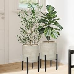 Arnis modern plant for sale  Delivered anywhere in USA 