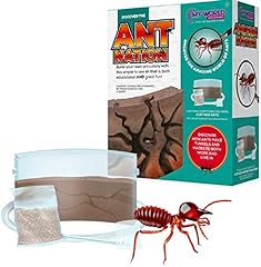 Funtime gifts ant for sale  Delivered anywhere in UK