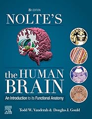 Nolte human brain for sale  Delivered anywhere in UK