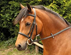 EQUIPRIDE PADDED COMFORT BRIDLES WITH REINS FOR SHETLAND AND MINI SHETLAND HORSE 