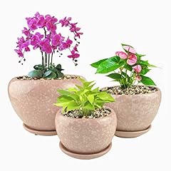 Meritmode ceramic plant for sale  Delivered anywhere in USA 