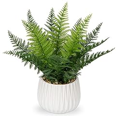 Fake plants indoor for sale  Delivered anywhere in Ireland