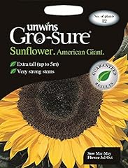 Unwins sunflower american for sale  Delivered anywhere in UK
