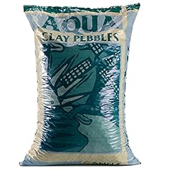 Canna aqua clay for sale  Delivered anywhere in UK