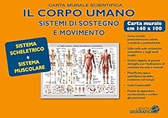 Corpo umano. muscoli usato  Spedito ovunque in Italia 