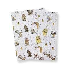Owl owls birds for sale  Delivered anywhere in UK