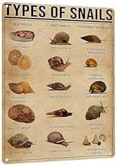 Hyblom types snails for sale  Delivered anywhere in USA 