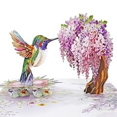 Cutpopup glicine colibrì usato  Spedito ovunque in Italia 