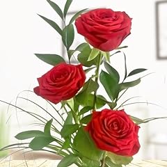 Rote rosen xxl gebraucht kaufen  Wird an jeden Ort in Deutschland
