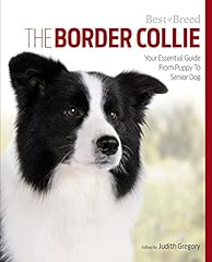 Border collie essential for sale  Delivered anywhere in USA 