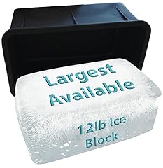 Ice block form for sale  Delivered anywhere in USA 