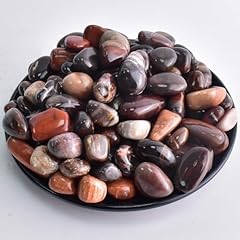 Sigmntun polished petrified for sale  Delivered anywhere in USA 