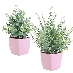 Summer flower pack for sale  Delivered anywhere in USA 