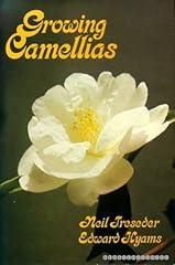 Growing camellias for sale  Delivered anywhere in Ireland