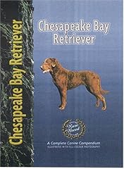 Chesapeake bay retriever for sale  Delivered anywhere in UK