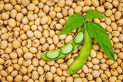 Soybeans gluten free for sale  Delivered anywhere in USA 