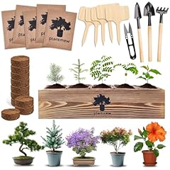 Bonsai tree kit for sale  Delivered anywhere in USA 