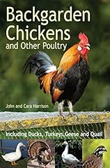 Backgarden chickens poultry for sale  Delivered anywhere in UK