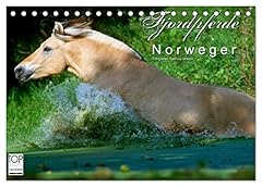 Fjordpferde norweger calvendo gebraucht kaufen  Wird an jeden Ort in Deutschland