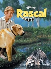 Rascal for sale  Delivered anywhere in UK