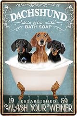 Lmddfzs funny dachshund for sale  Delivered anywhere in USA 