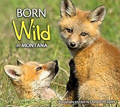 Born wild montana for sale  Delivered anywhere in USA 