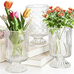 Pumtus pack glass for sale  Delivered anywhere in USA 