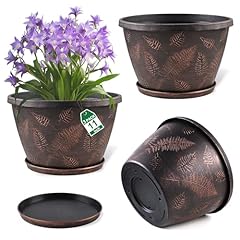 Svxtoby inch plant for sale  Delivered anywhere in USA 