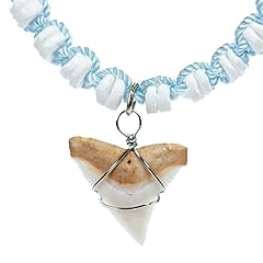Bluerica shark tooth for sale  Delivered anywhere in USA 