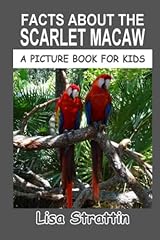Facts scarlet macaw for sale  Delivered anywhere in USA 